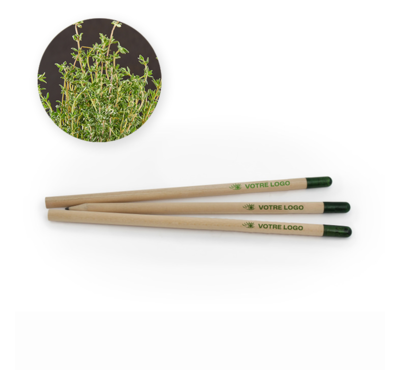 crayon à graine thym