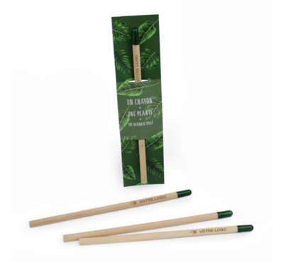 crayon graine avec marque page rectangle