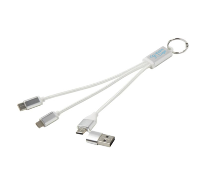 cable de chargement couleur argent 4 en 1