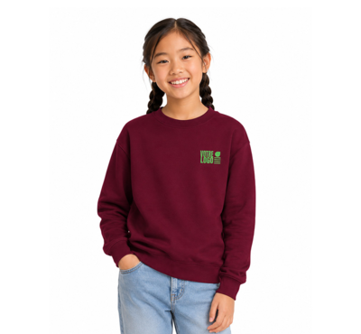 pulls ras du cou enfant 