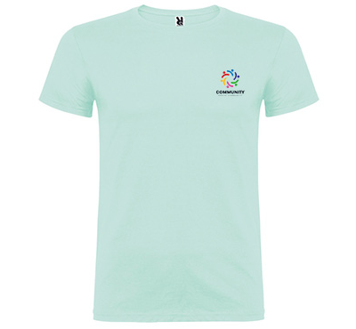 tee-shirt homme menthe