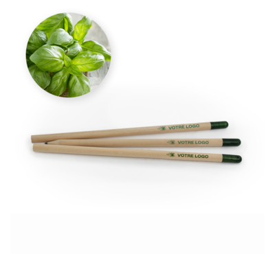 crayon graine basilic