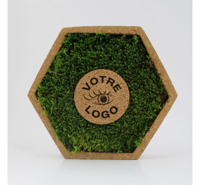 cadre mousse en liège