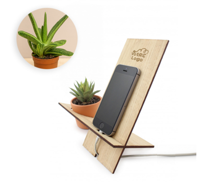 support de telephone en bois avec une la plante gasteria