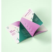 Brochures éco-responsables