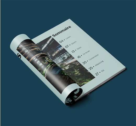 magazine publicitaire